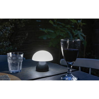 Luming RCS recycled plastic USB re-chargeable table lamp